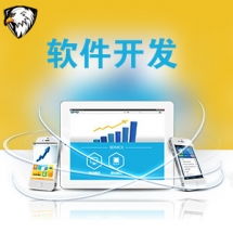 一品威客網(wǎng)軟件外包服務(wù)報價與收費解析 專業(yè)、透明、高性價比的開發(fā)選擇
